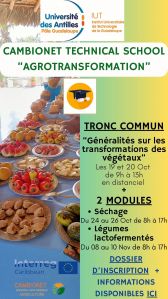 Flyer CTS Agrotransformation UA (v4).jpg