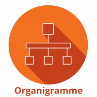 organigramme.png
